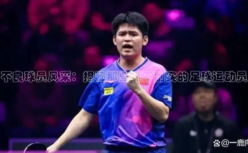 球盟会app赛富乐斯不良球员风采：揭秘那些名不副实的足球运动员