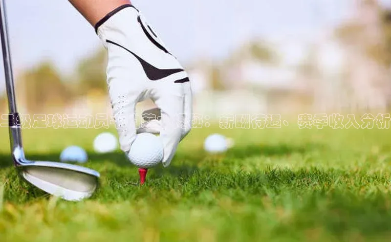 球盟会在线官网哇咔哇咔文化二级足球运动员平均薪水揭秘：薪酬待遇、赛季收入分析