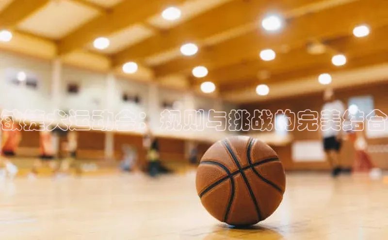 球盟会APP下载荣信文化敏捷犬运动会：规则与挑战的完美结合