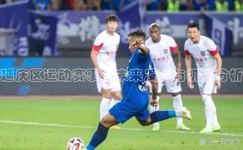 延庆区运动赛事的未来发展与机遇分析