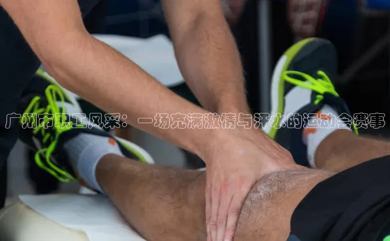 广州市职工风采：一场充满激情与汗水的运动会赛事