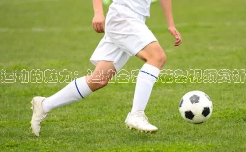 运动的魅力：运动会赛事花絮视频赏析