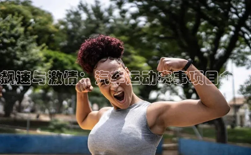 飙速与激情：汽车运动赛事项目介绍