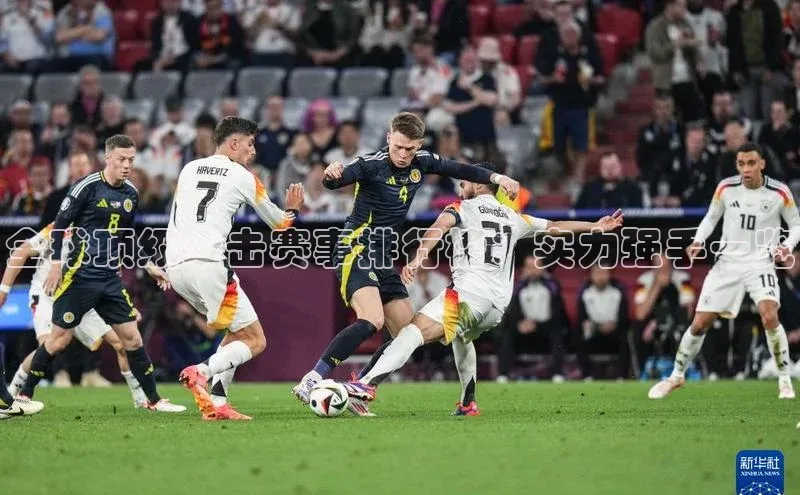 全球顶级拳击赛事排行榜：实力强手一览