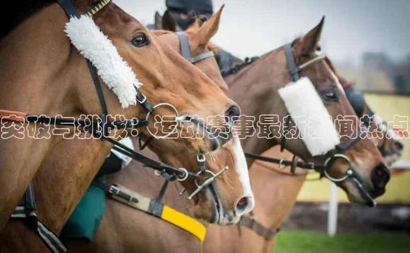 突破与挑战：运动赛事最新新闻热点