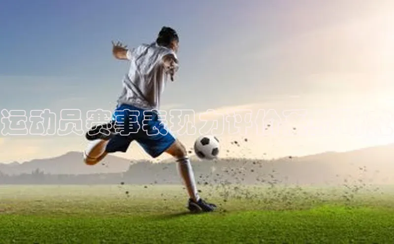 运动员赛事表现力评价系统研究
