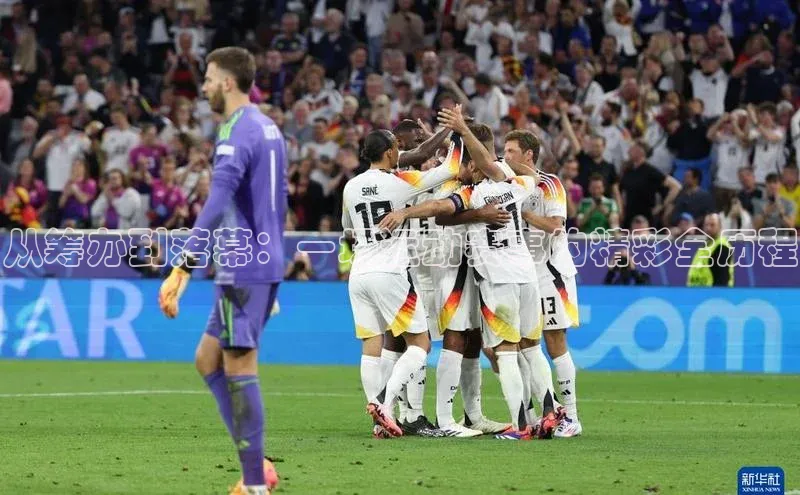 从筹办到落幕：一场运动赛事的精彩全历程