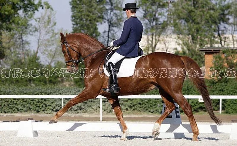 打假赛事的公平之钥：哪些运动能够保障参赛者的权益