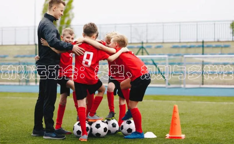 动物运动会：类型、规则与多样性