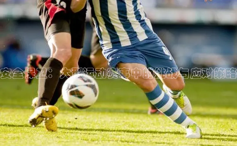 安全保卫：大型运动赛事中的挑战与应对策略