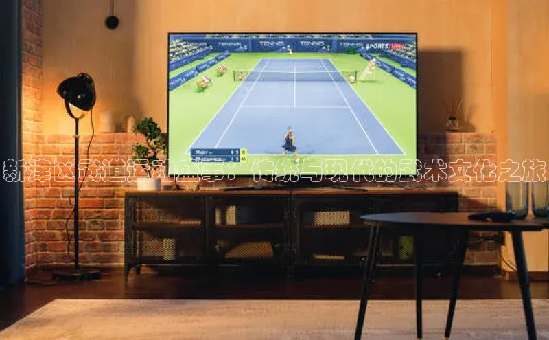 新津区武道运动盛事：传统与现代的武术文化之旅