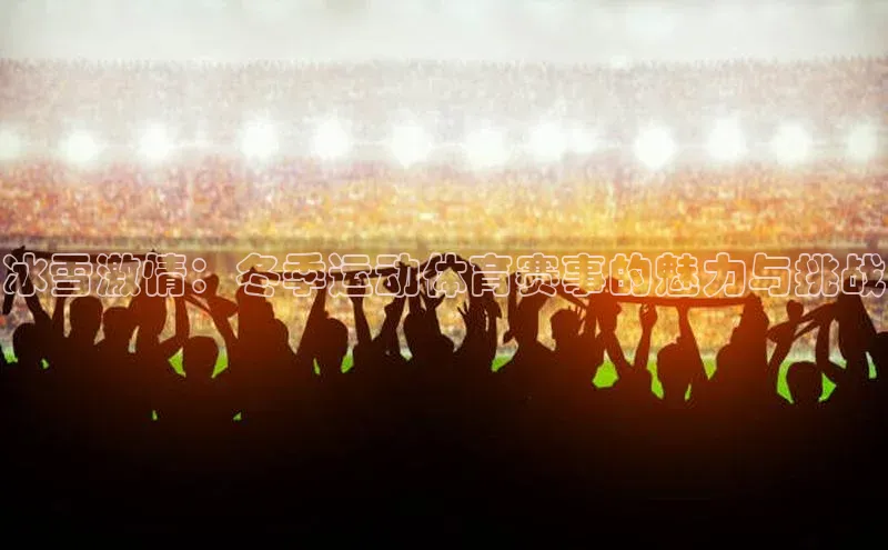 冰雪激情：冬季运动体育赛事的魅力与挑战