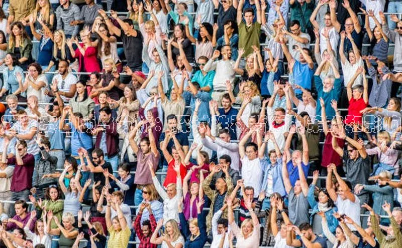 冠军赛回顾与分析：探讨胜利背后的策略和影响