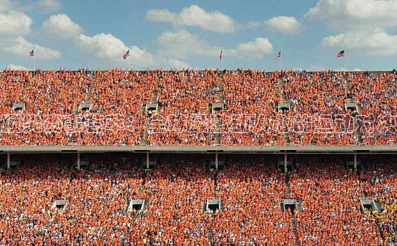 顶尖赛事荟萃：全球最激动人心的运动对决