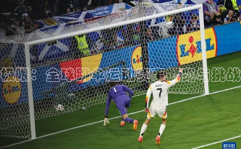 极限：全球跳伞运动赛事概览与挑战