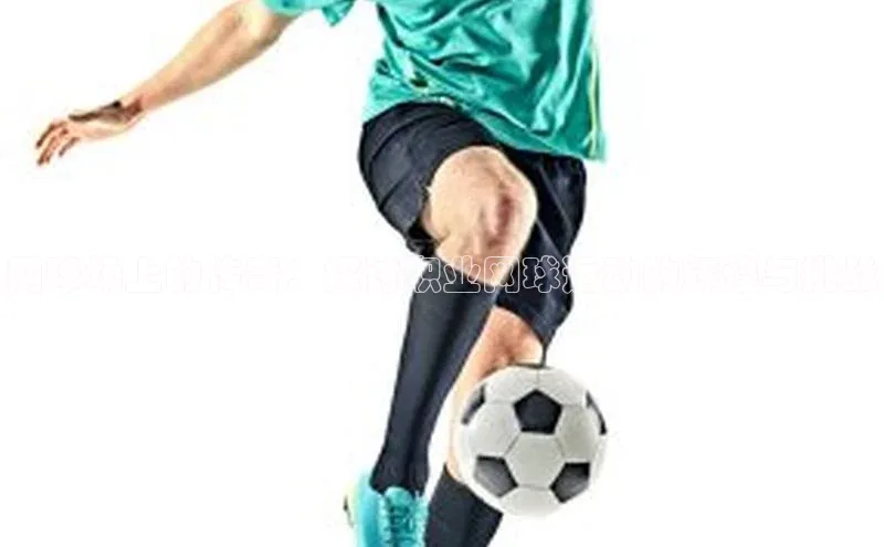 球萌会官方入口