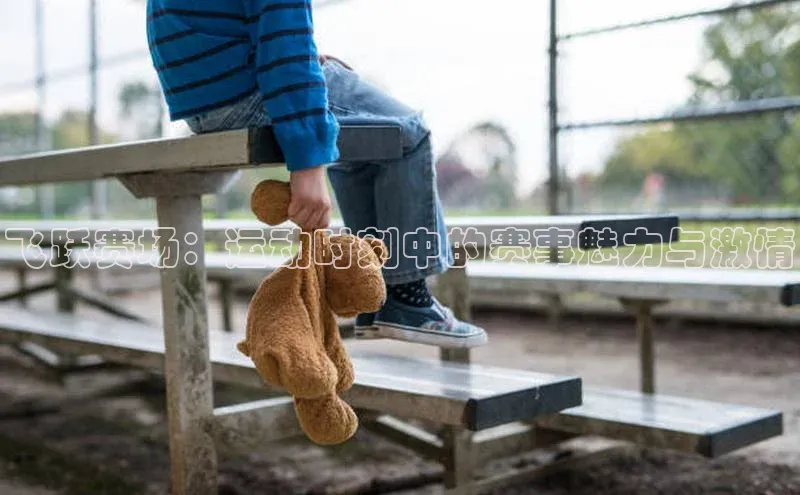 球盟会官网入口下载