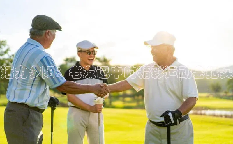 活力夕阳：老友记中的精彩运动会纪实